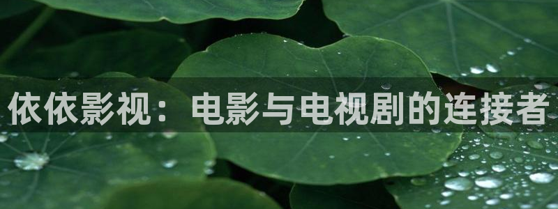 樱花动漫在线观看免费全集