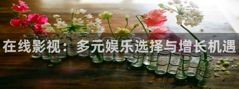 出包女王第一季免费观看全集完整樱花动漫