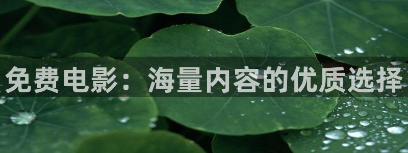 爱丫爱丫樱花免费版电视剧