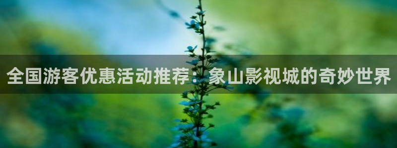 幸福花园樱花动漫全集在线观看