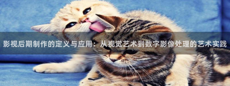 无颜之月樱花免费观看