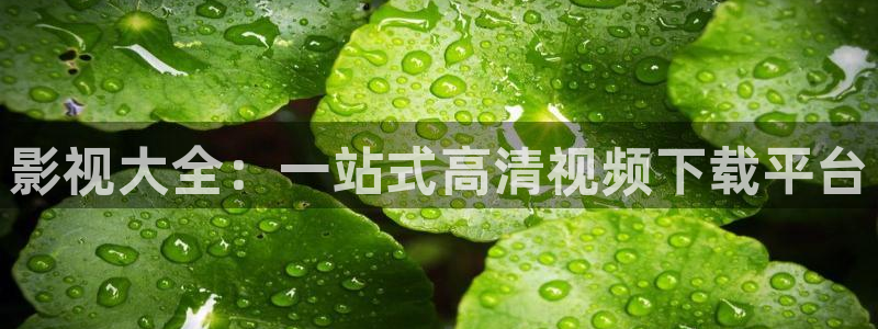 哥布林洞窟樱花动漫全集在线：影视大全：一站式高清视频下载平台